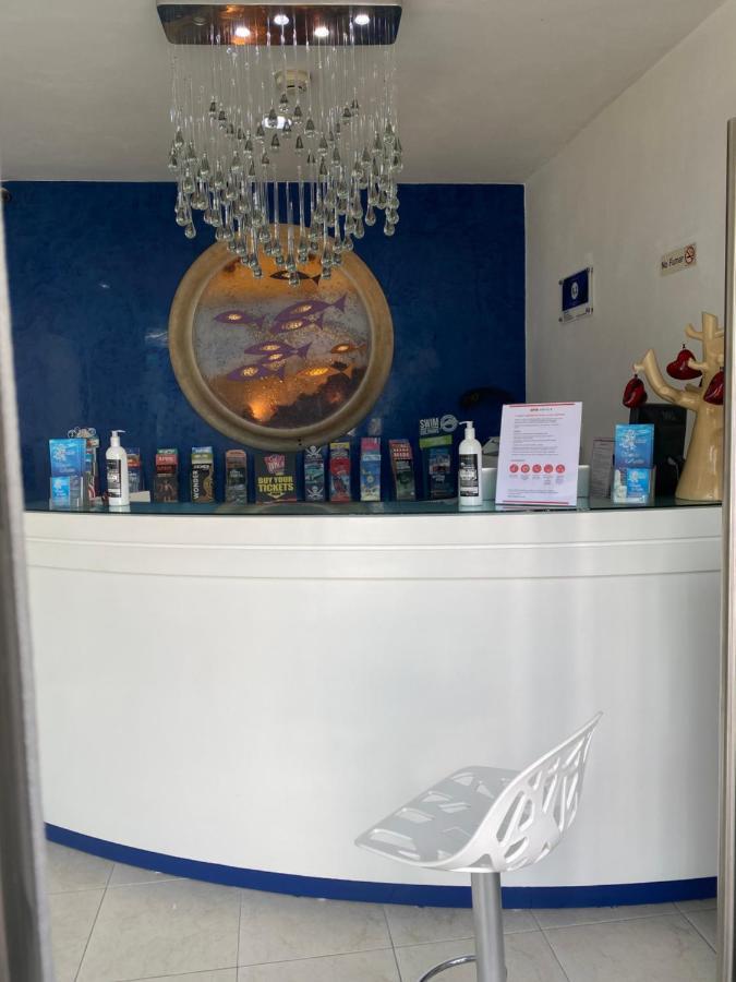普拉亚卡门 Quinta Santa Anita酒店 外观 照片