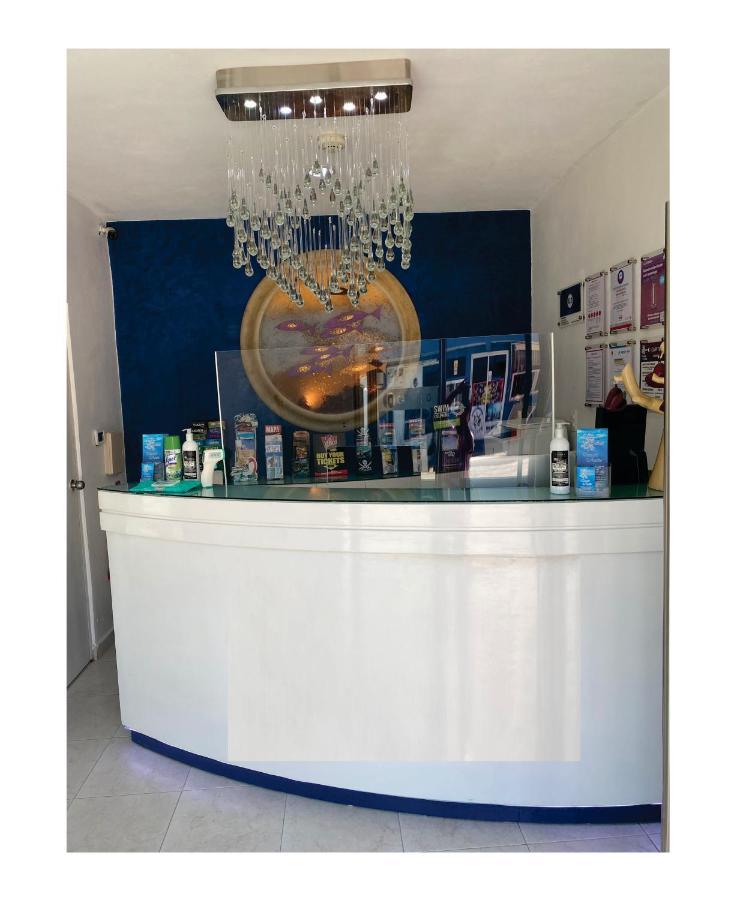 普拉亚卡门 Quinta Santa Anita酒店 外观 照片